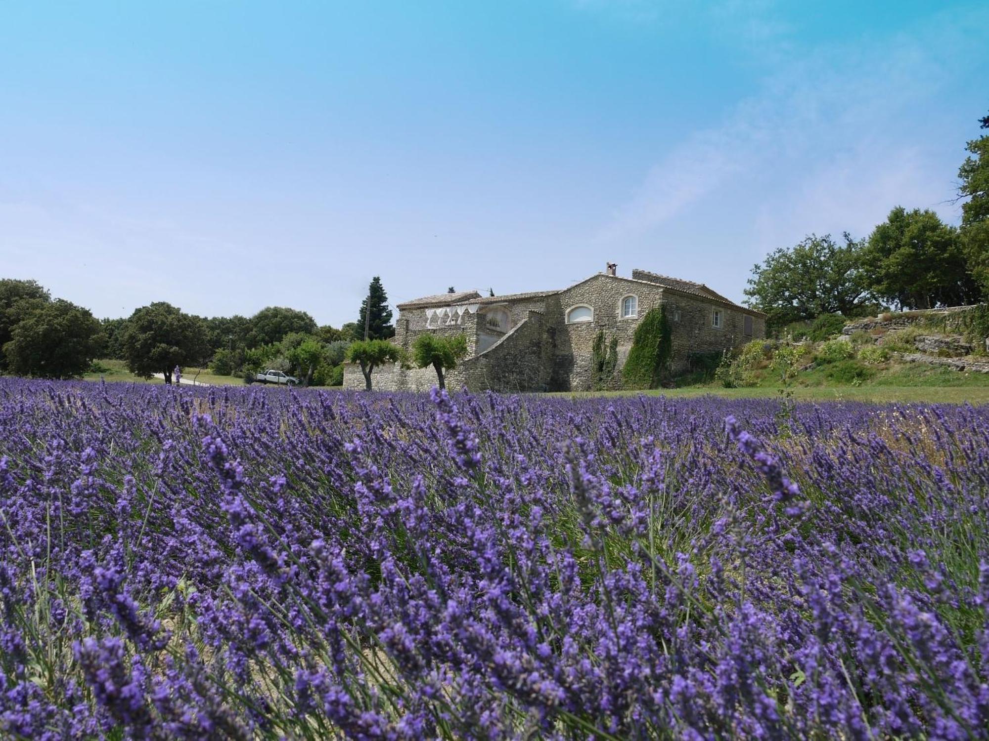 La Ferme Les Eybrachas Hotell Réauville Eksteriør bilde